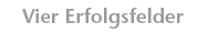 Vier Erfolgsfelder