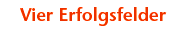 Erfolgsfelder