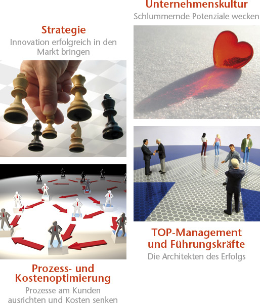 Strategie, Unternehmenskultur, Prozess- und Kostenoptimierung, TOP-Management und F&uuml;hrungskr&auml;fte